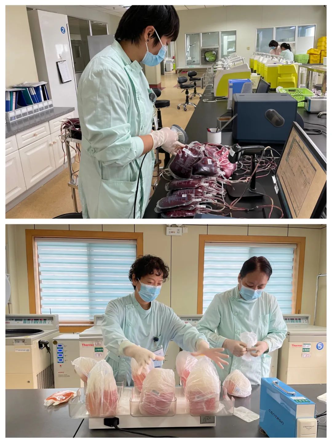 【国庆假期我在岗】淄博市中心血站：血液安全供应 有我们守护