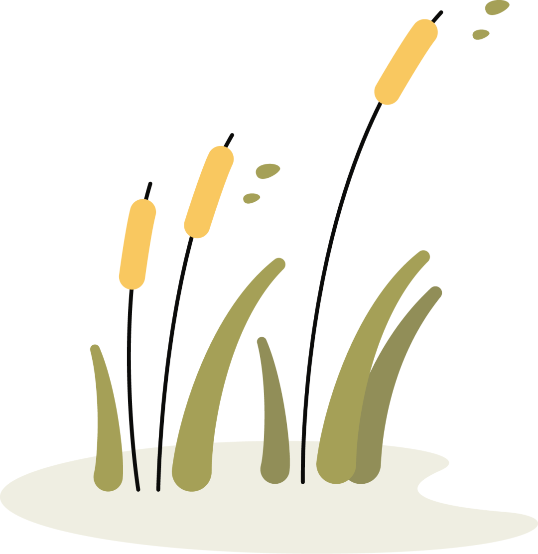 【热血清风･清廉有节】秋分：守中居正