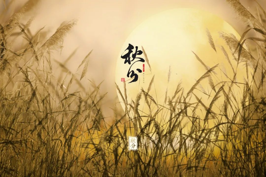 【热血清风･清廉有节】秋分：守中居正