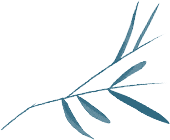 【热血清风･清廉有节】秋分：守中居正