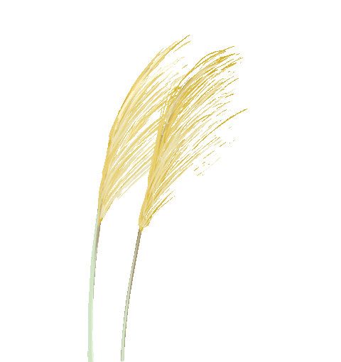 【热血清风･清廉有节】秋分：守中居正