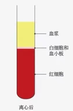 献血科普之带你了解去白细胞单采血小板